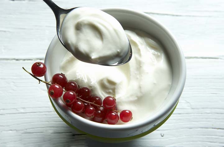 plain yogurt